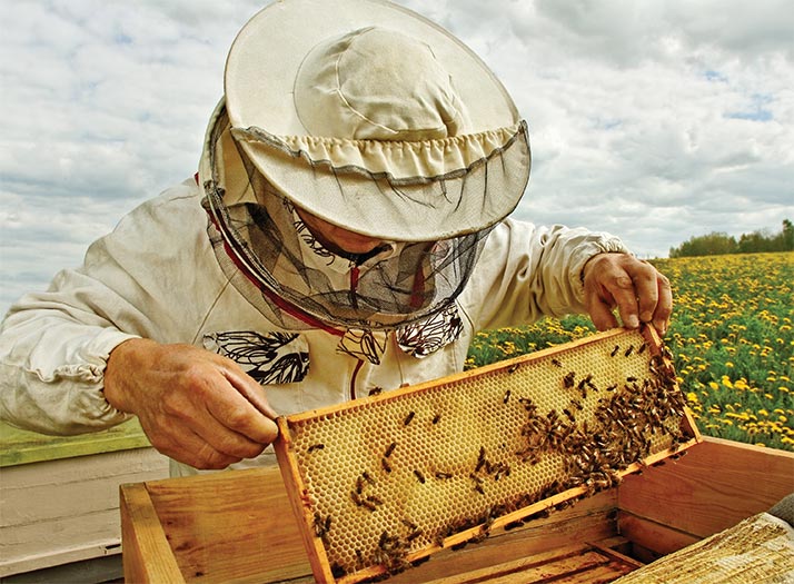Poză cu apicultor